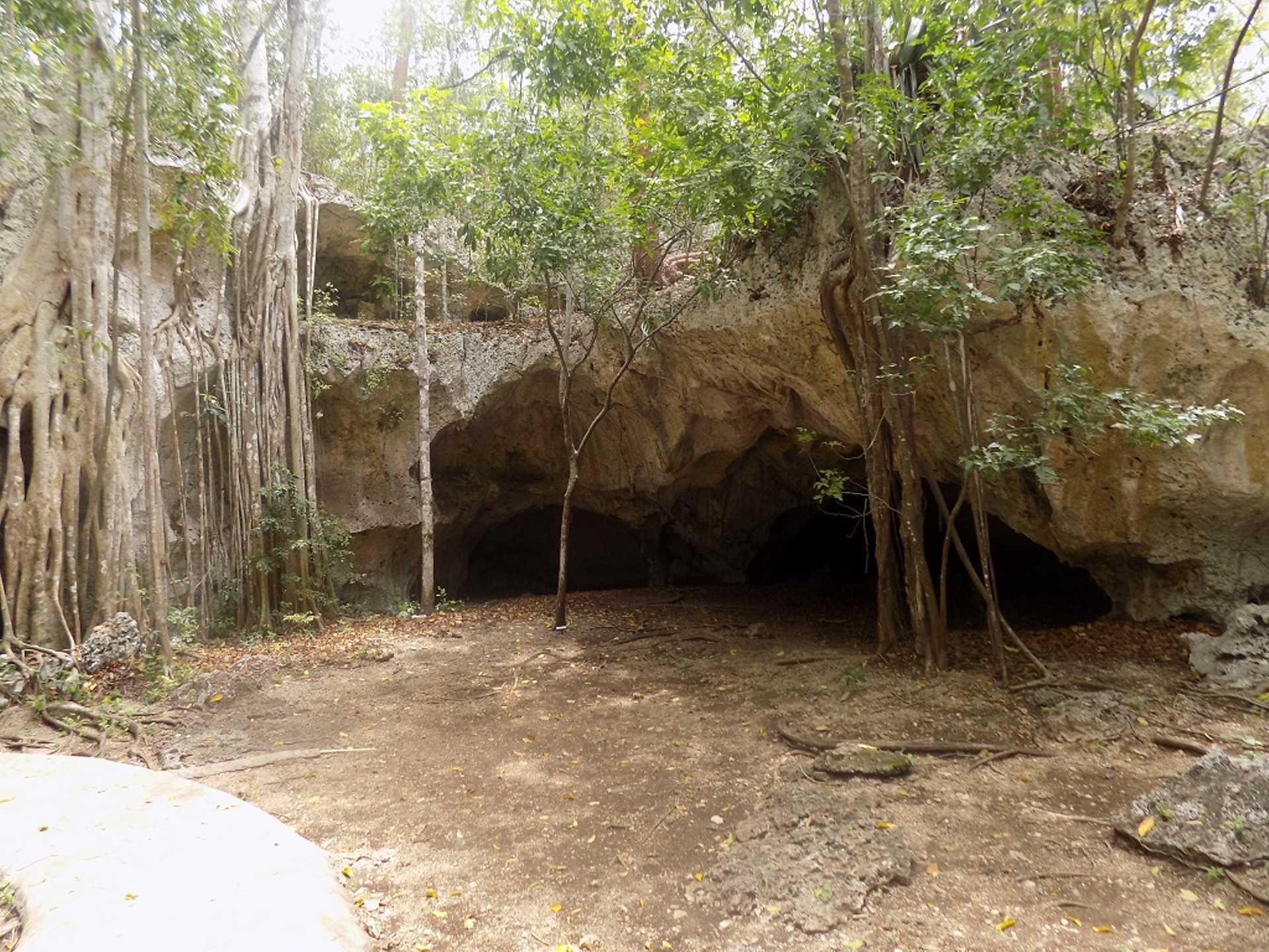 Private: Green Grotto Excursion from Montego Bay