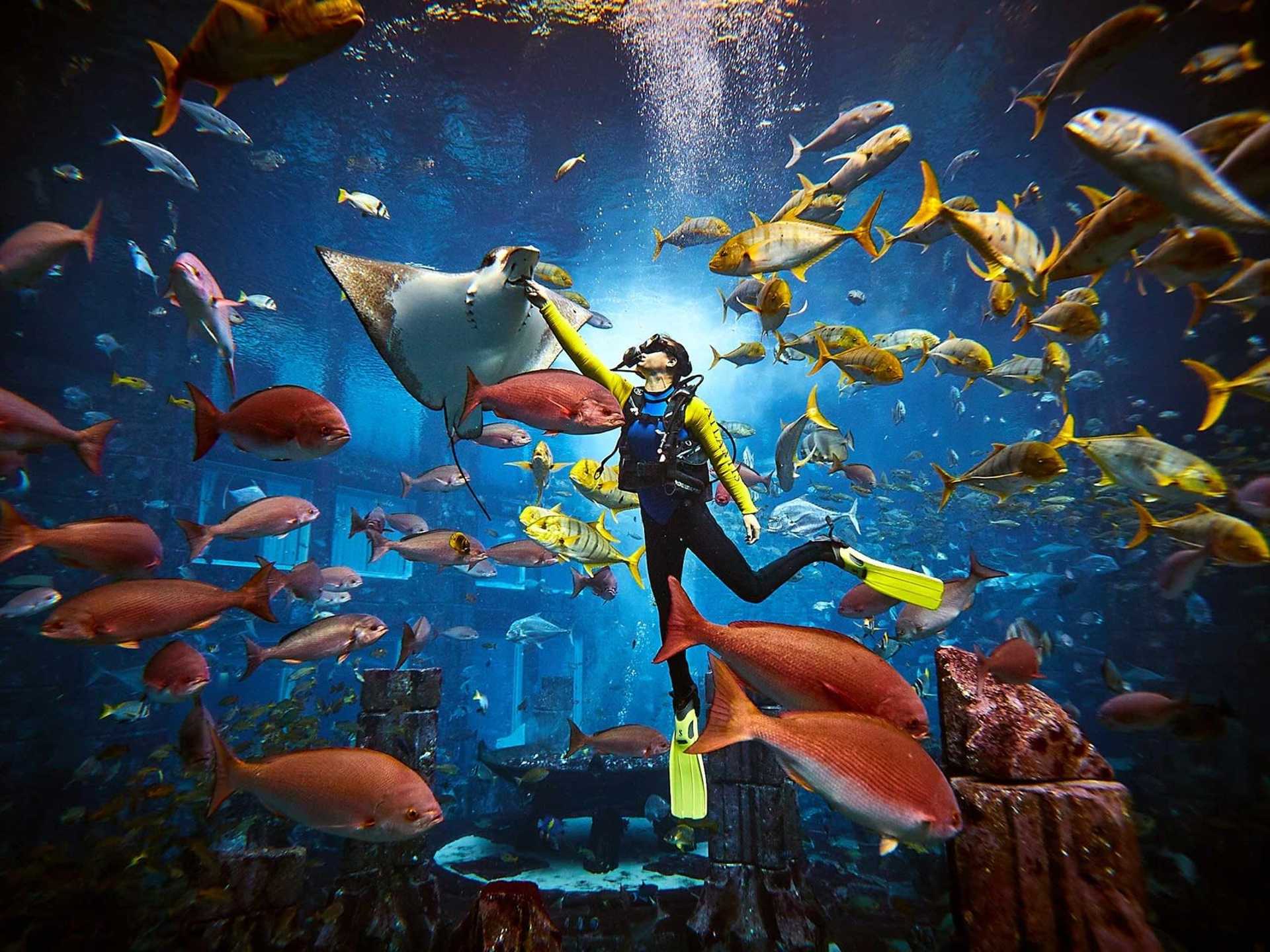 Atlantis Discover Scuba Dive