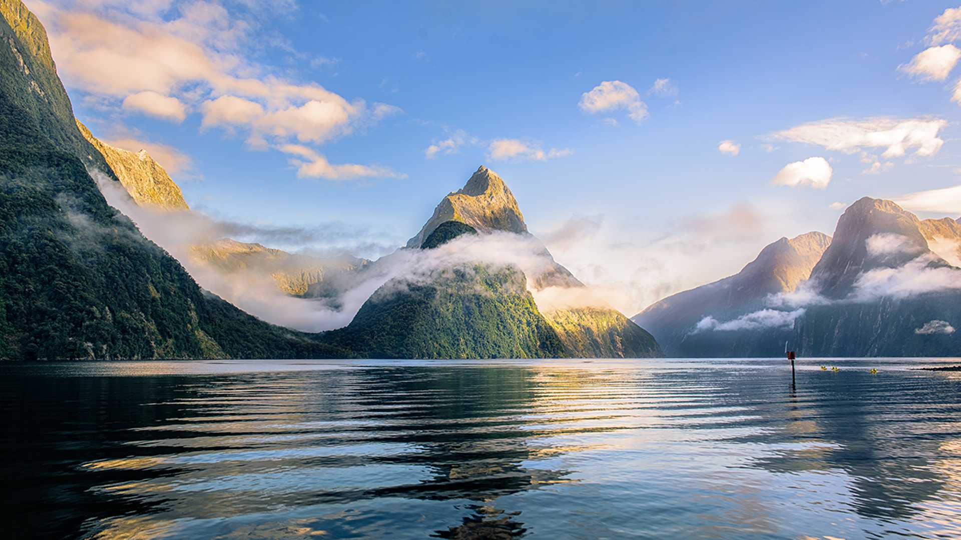 Premium Milford Sound Small Group Tour, Cruise & Picnic Lunch from Te Anau 