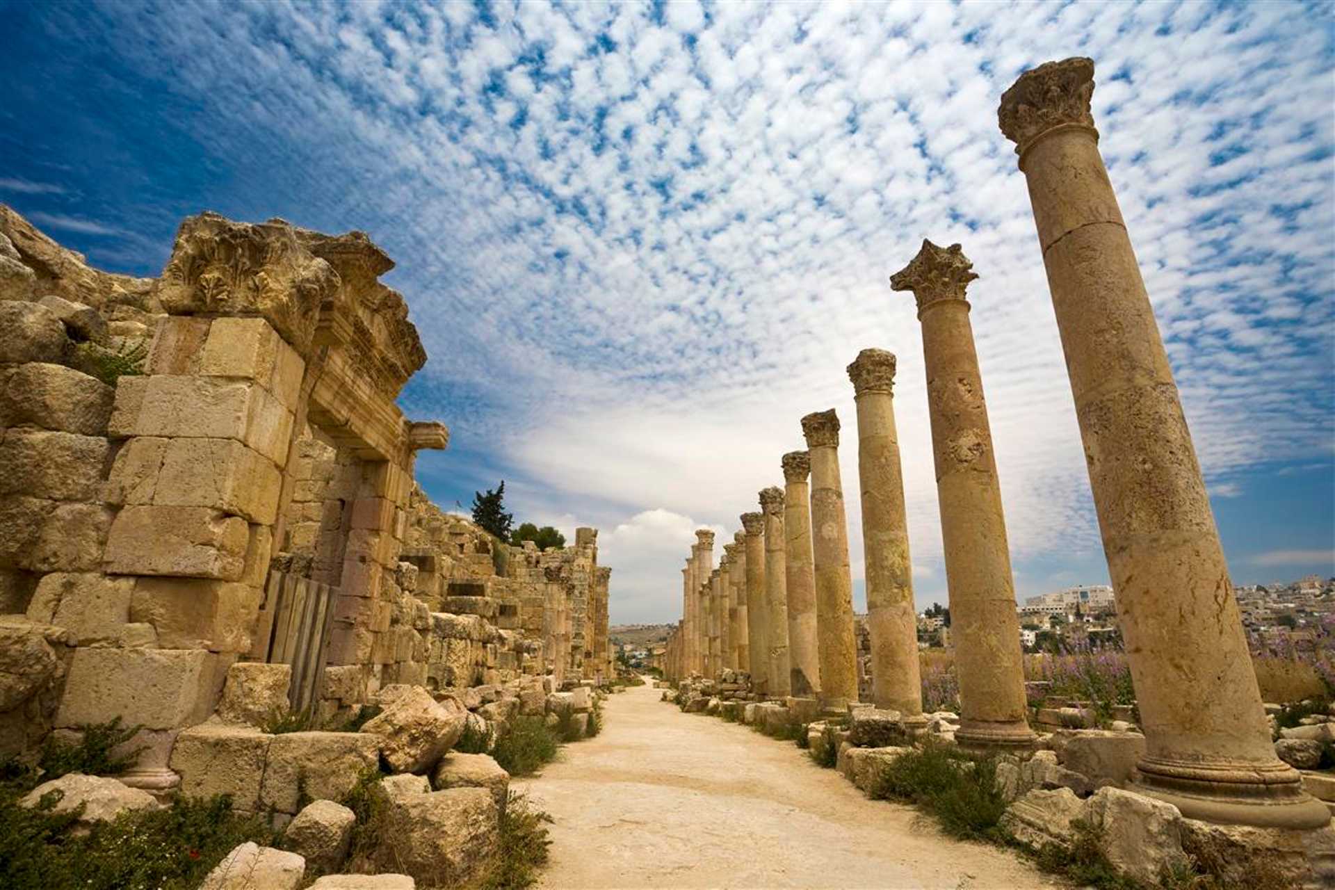 Jerash 1 day tour from Amman