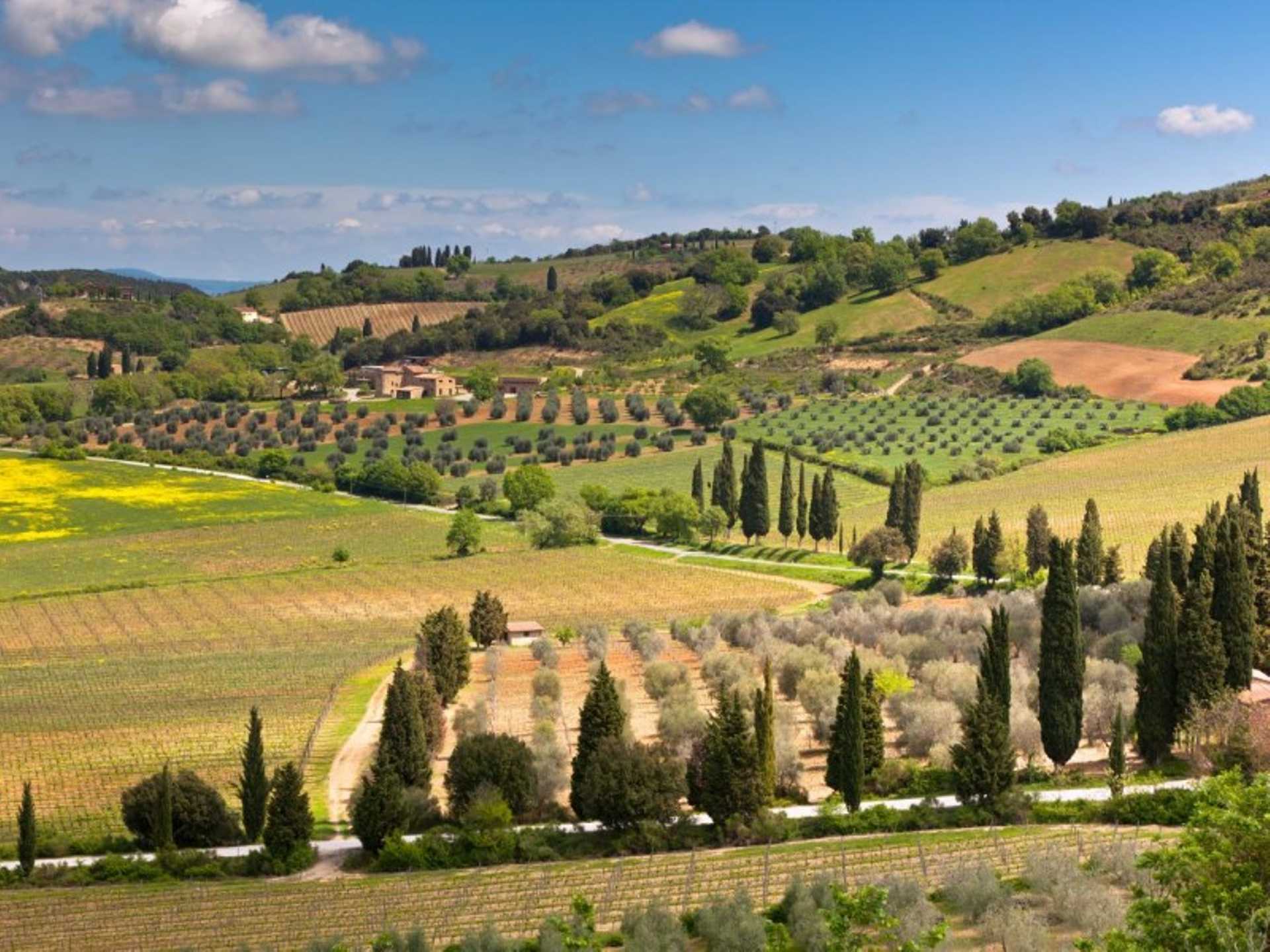Chianti Authentic Experience Afternoon Tour with two Wine Tastings and a charming Village