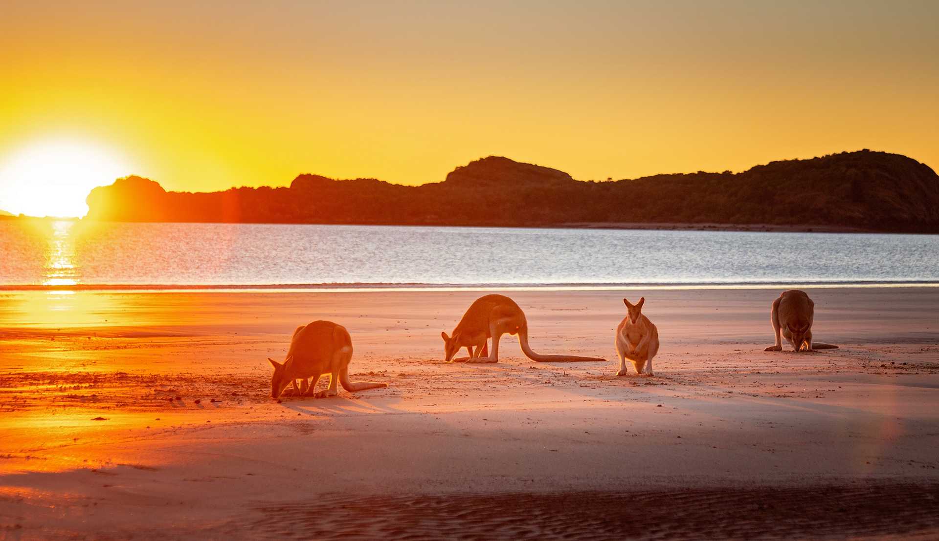 Choose Your Own Premium QLD Getaway: 2 Adults 2 Nights