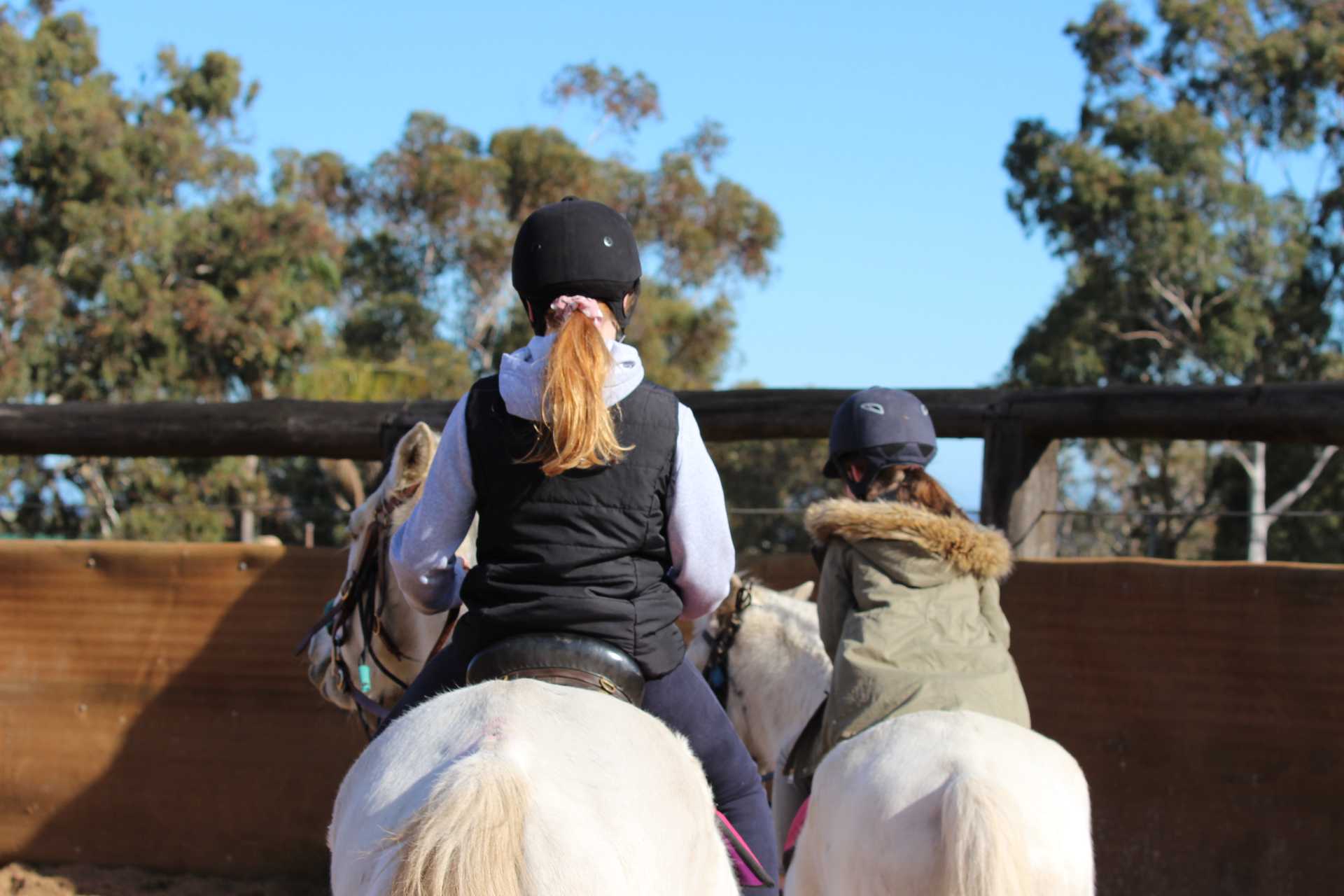 Exclusive 1hr Group Horse Riding Lesson (2-4 Riders)