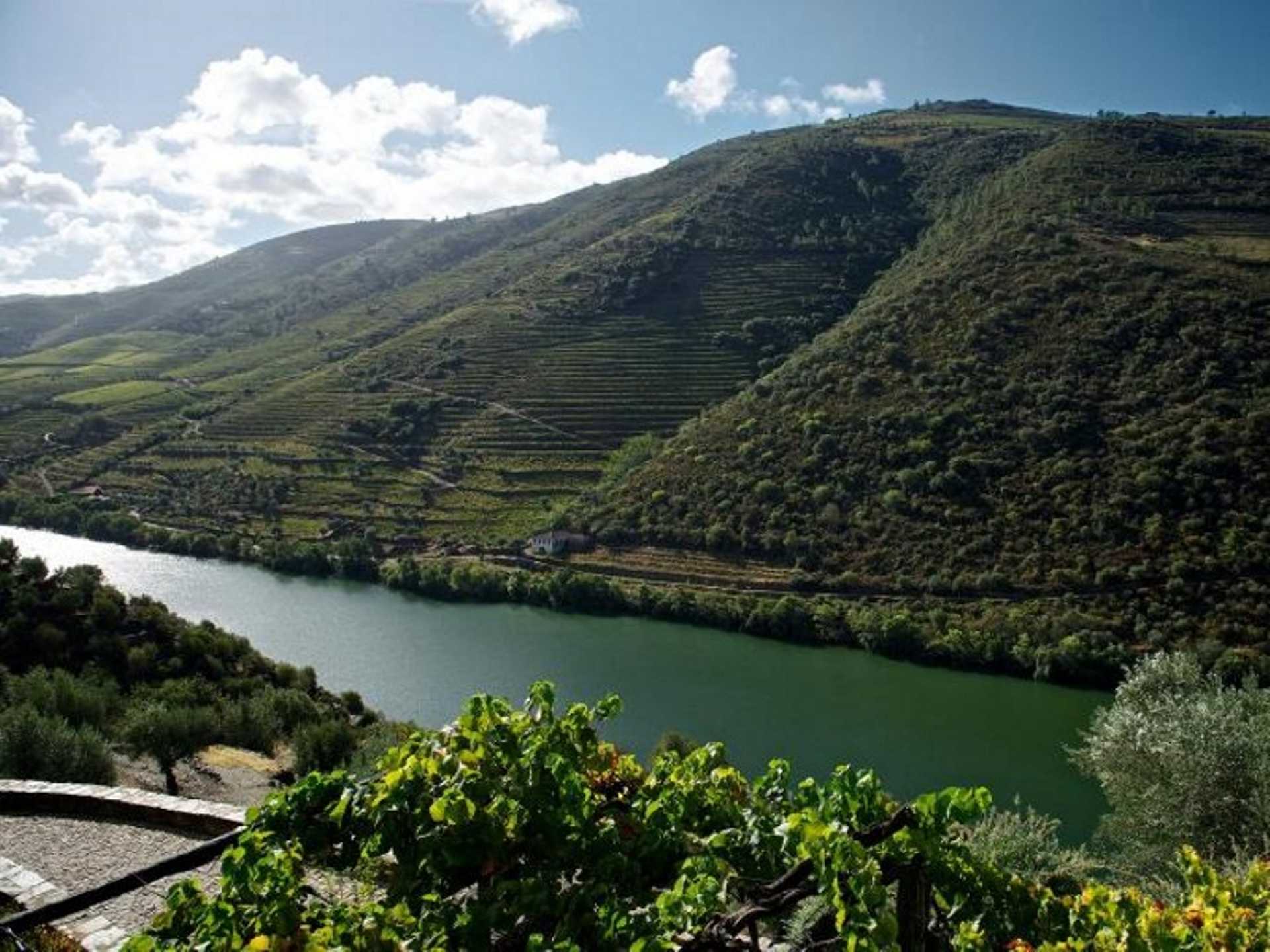Wine Tour Douro Valley