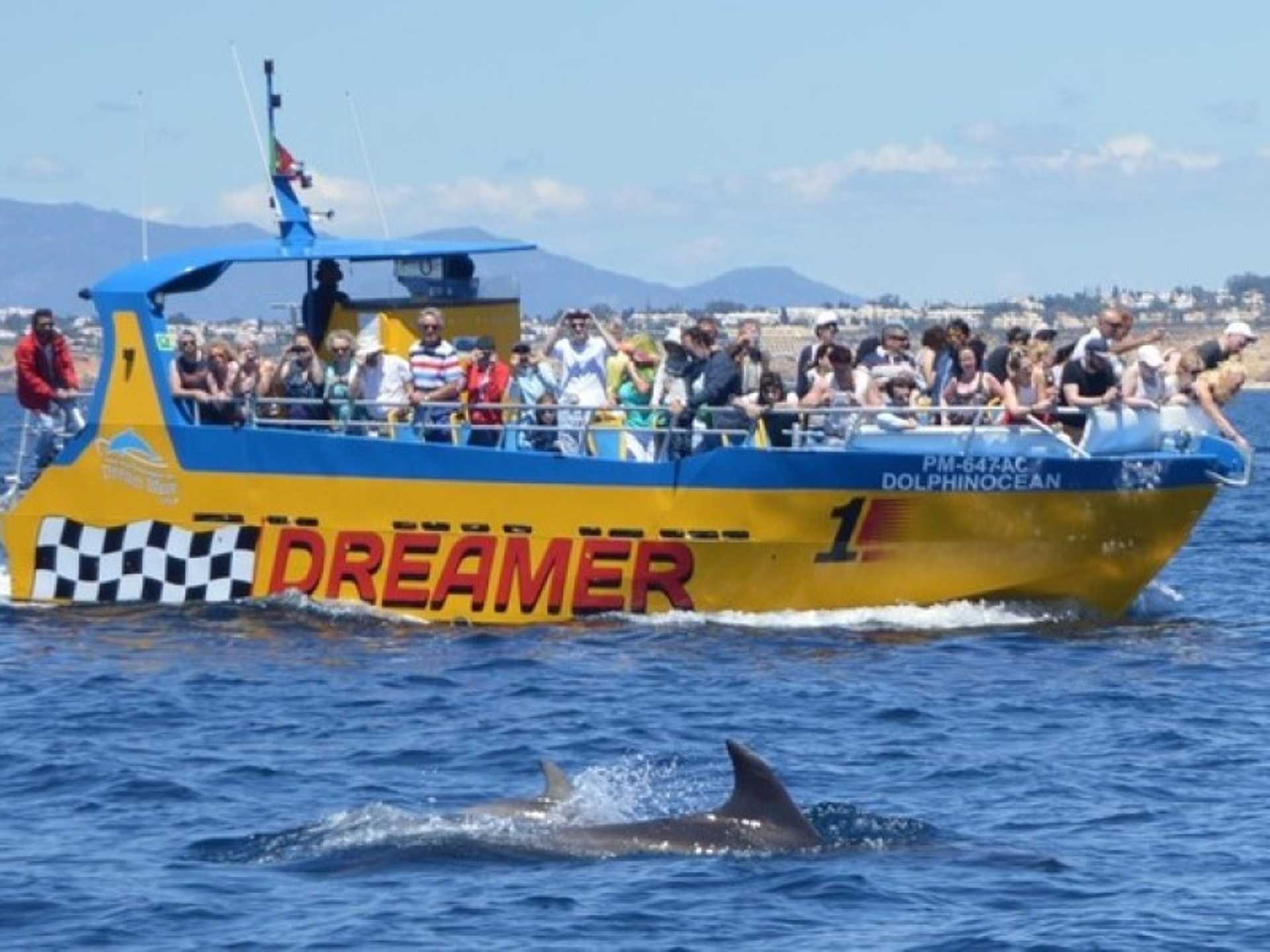 Algarve Caves & Dolphin Watching Cruise on Dreamer