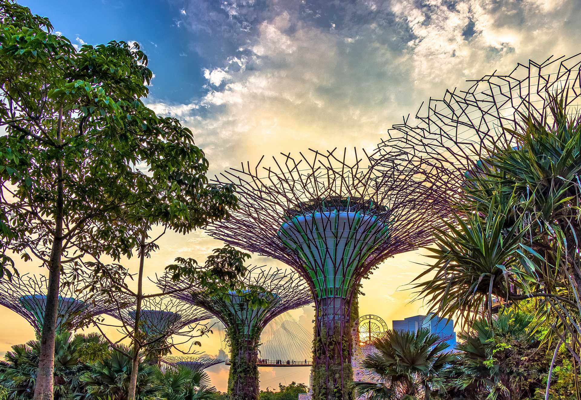 Singapore Premium Getaway for Two: 2 Adults 2 Nights