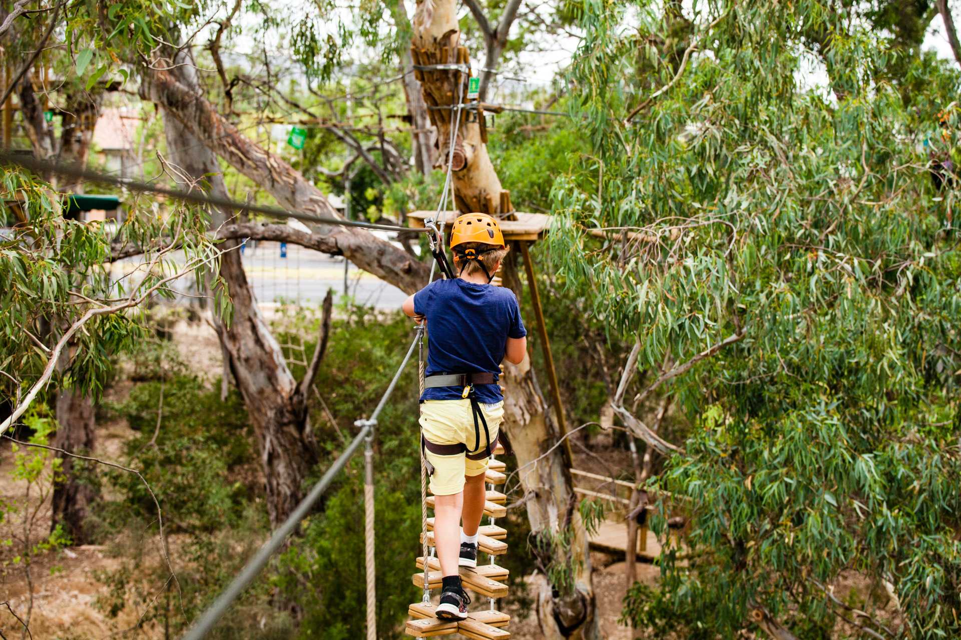 TreeClimb Adelaide Inner-City Aerial Course - Grand Course