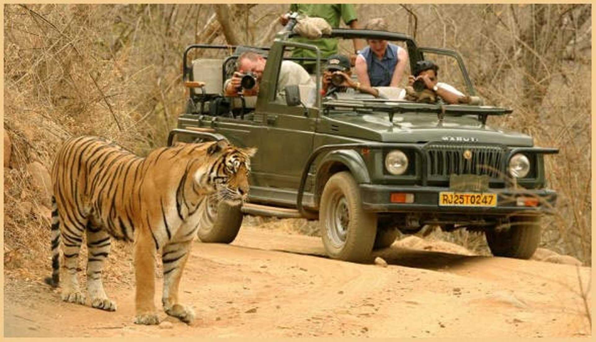 Golden Triangle India Tour with Udaipur & Wildlife Safari