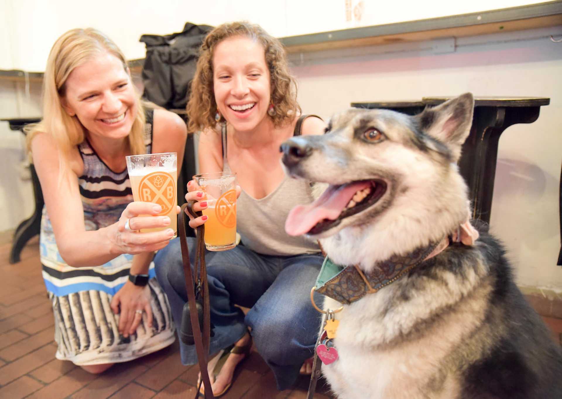 Dog Friendly NYC Brewery Tour