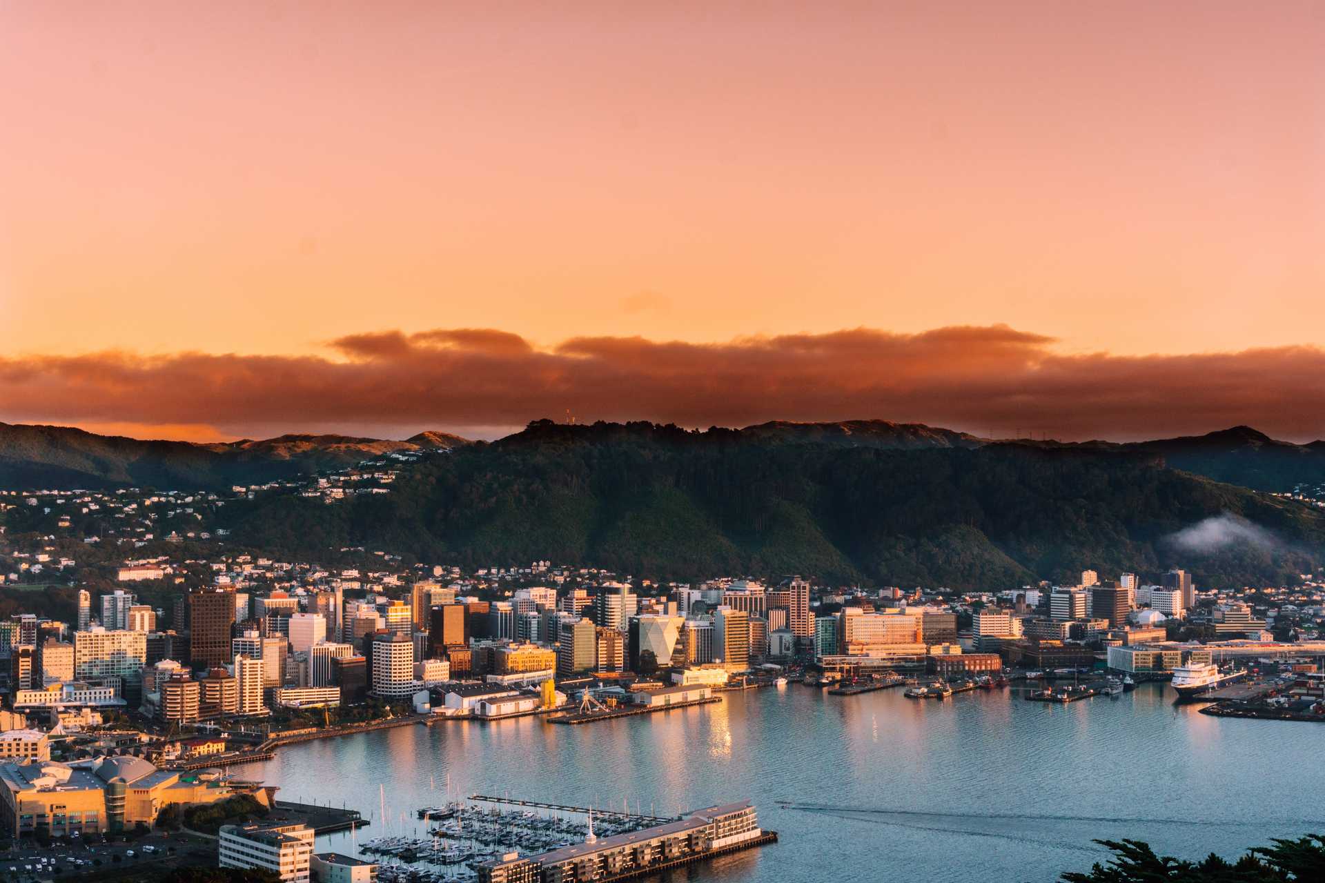 Wellington Overnighter: 1 Night Accommodation for Two