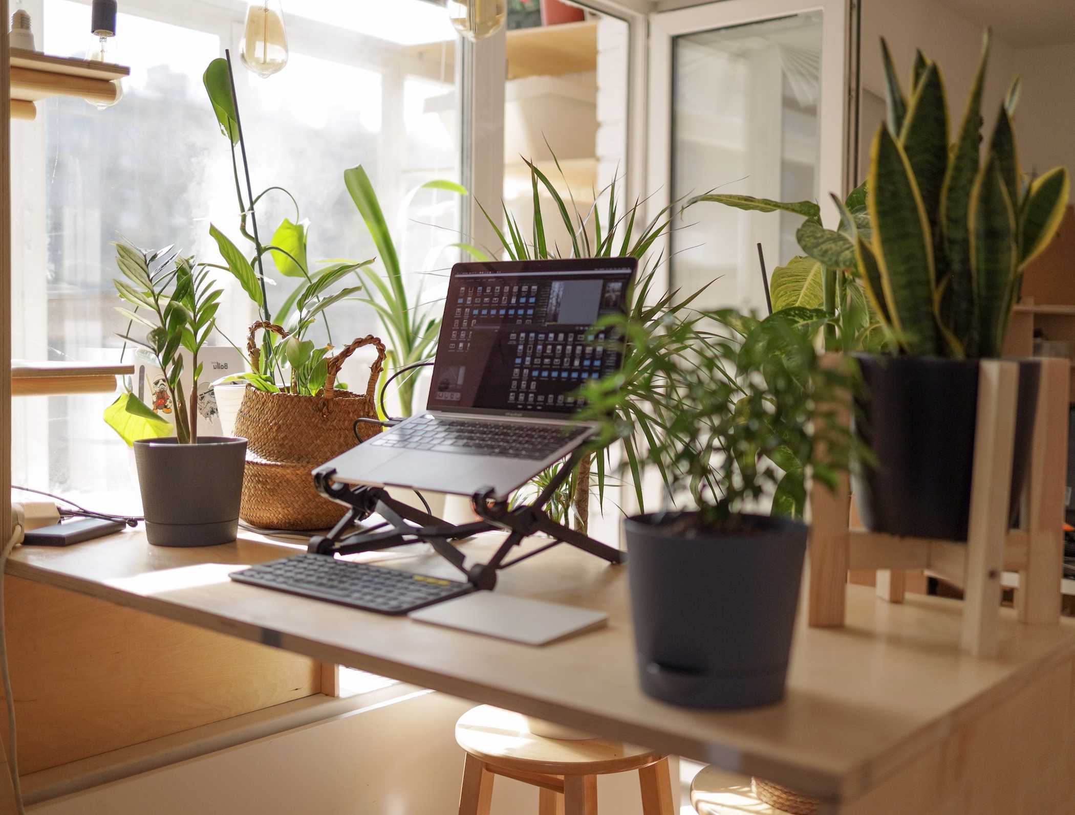 Global Gift Ideas For Employees Working Remotely