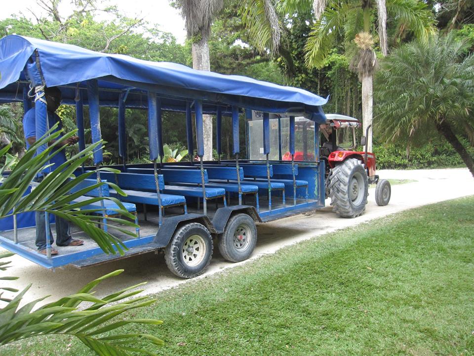 YS Falls Adventure Tour from Runaway Bay