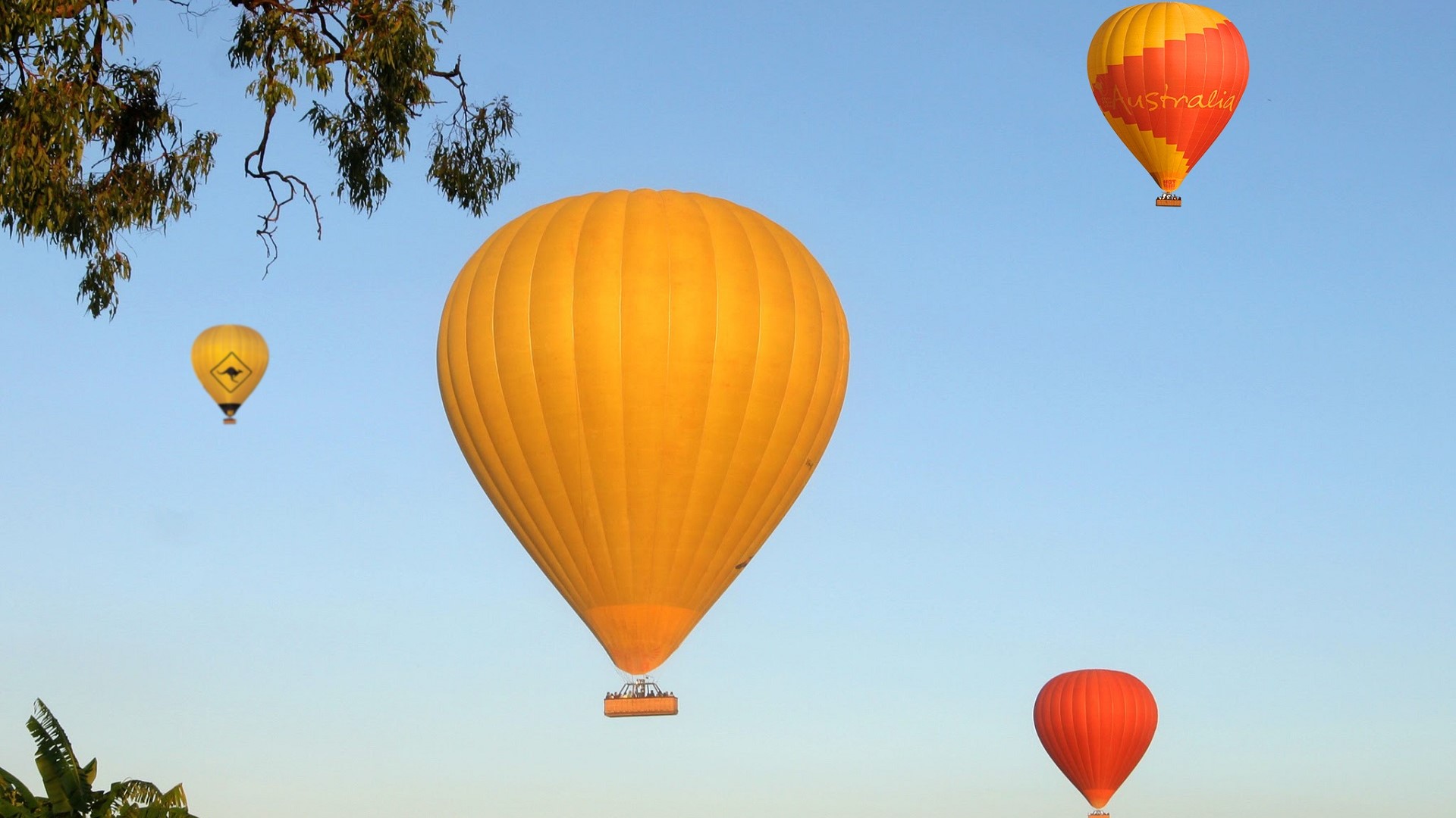 Cairns Luxury Hot Air Balloon experience for Two