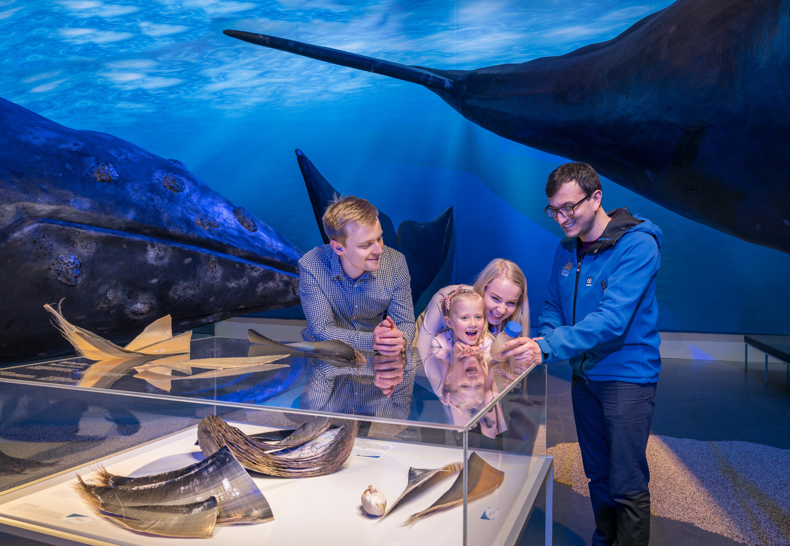 Whale Watching & Whales of Iceland Exhibition