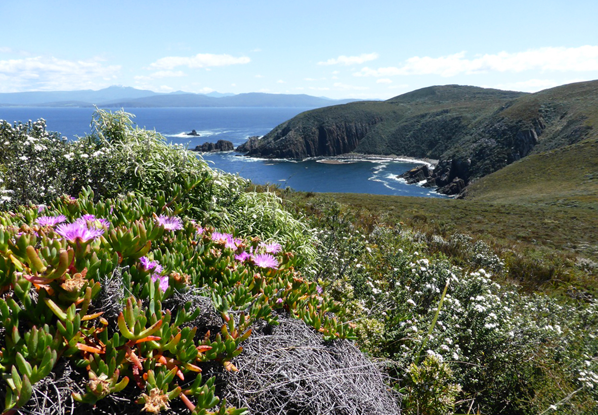 Two days on Bruny Island with personalised guiding