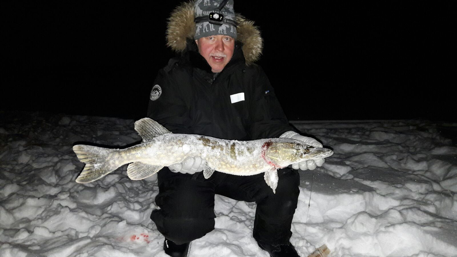 Gifting Owl Experience Gifts & Global Activity Vouchers